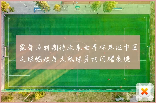 蒙哥马利期待未来世界杯见证中国足球崛起与天赋球员的闪耀表现