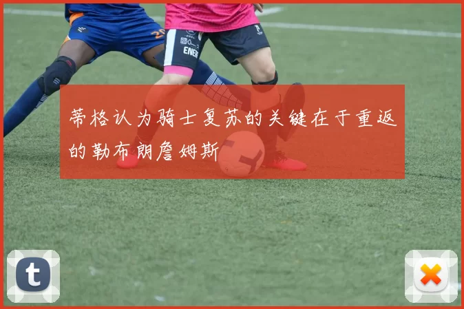 蒂格认为骑士复苏的关键在于重返的勒布朗詹姆斯